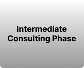 Intermediate Consulting Phase
